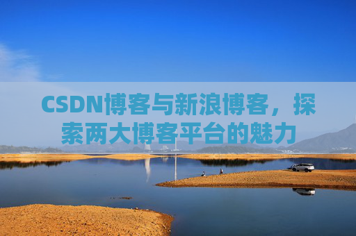 CSDN博客与新浪博客，探索两大博客平台的魅力